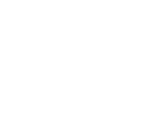 WebFreaks-Logo